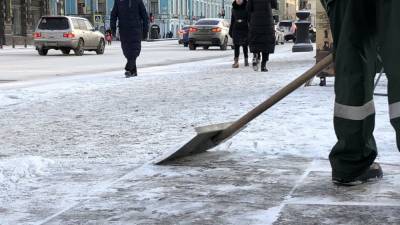 Адвокат Некрасов назвал нормальной ситуацию с ростом стоимости лопат во время снегопада