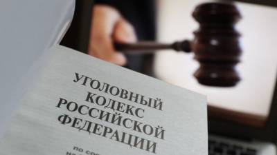Верховный суд внес в Госдуму проект о понятии «уголовный проступок»