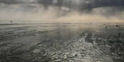 В Бердянске в мороз покрылось льдом побережье Азовского моря - Зима 2021 фото и видео - ТЕЛЕГРАФ