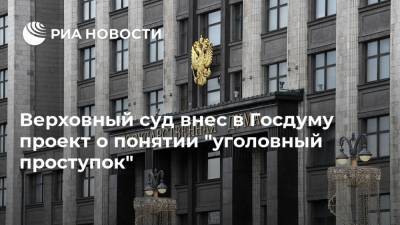 Верховный суд внес в Госдуму проект о понятии "уголовный проступок"