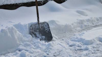 Черниговец солгал об убийстве для очистки улицы от снега