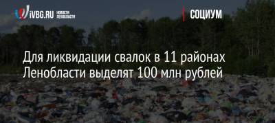 Для ликвидации свалок в 11 районах Ленобласти выделят 100 млн рублей