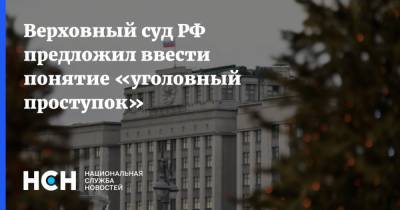 Верховный суд РФ предложил ввести понятие «уголовный проступок»