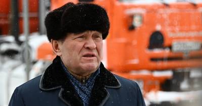 В мэрии Москвы назвали сроки расчистки города от снега