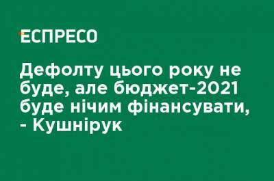 Дефолта в этом году не будет, но бюджет-2021 нечем будет финансировать, - Кушнирук