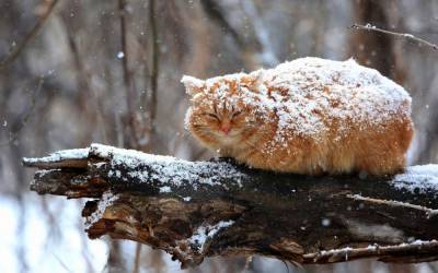 Завтра Астрахань засыплет снегом