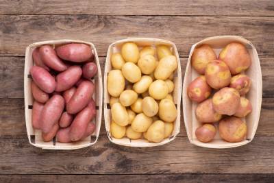 Выбираем картофель: какой лучше подходит для жарки, варки, запекания