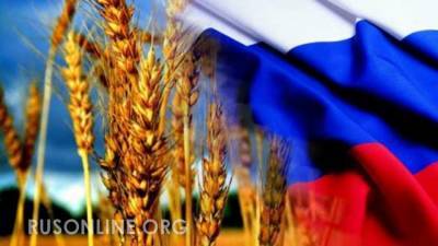 Россия вводит квоту на экспорт зерна