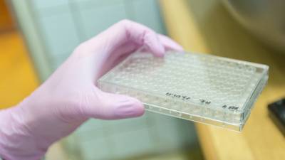 В Британии и еще девяти странах обнаружили «тревожную» мутацию коронавируса
