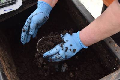 Как правильно приготовить почвогрунт для рассады?