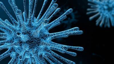 Новый вирус-мутант из Великобритании найден в еще 10 странах мира