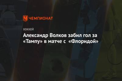 Александр Волков забил гол за «Тампу» в матче с «Флоридой»