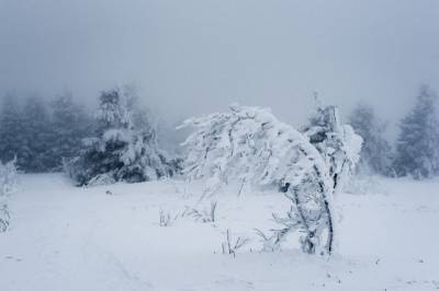 На Сахалине снегопад парализовал транспортное сообщение