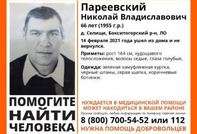 Нуждается в медицинской помощи: в Ленобласти ищут 66-летнего жителя Бокситогорского района