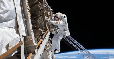 Жители Латвии могут принять участие в отборе астронавтов