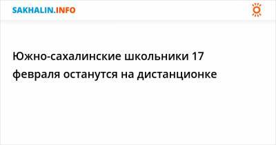 Южно-сахалинские школьники 17 февраля останутся на дистанционке