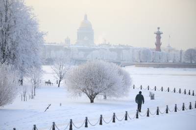 Циклон принес в Петербург снегопад и ветер