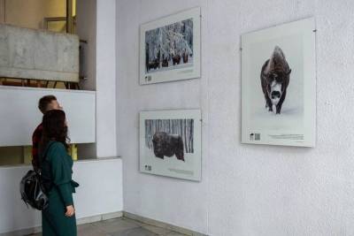 В Москве открылась фотовыставка Серпуховского заповедника