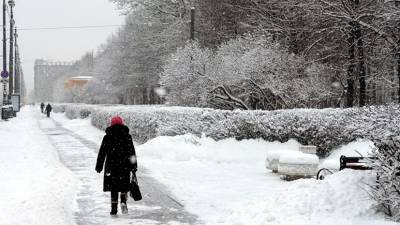 Синоптики предупредили о снегопадах в Петербурге