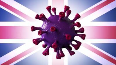 В Британии и ещё 10 странах выявлен новый вариант коронавируса