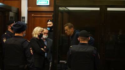 Обвинение просит проверить оскорбления Навального на процессе по делу о клевете