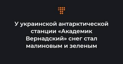 У украинской антарктической станции «Академик Вернадский» снег стал малиновым и зеленым