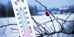 Орловские школьники могут остаться дома при сильном морозе