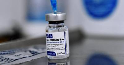 Подана заявка на регистрацию вакцины "Спутник V" в ЮАР