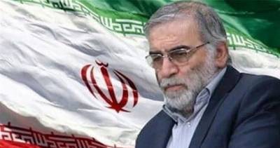 Главный организатор убийства иранского ученого Фахризаде выявлен и преследуется по закону