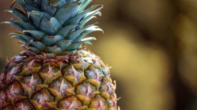 Специалисты "Росконтроля" проверили качество консервированных ананасов