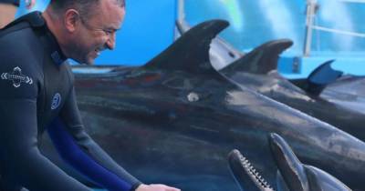 Виктор Павлик - Екатерина Репяхова - 55-летний Виктор Павлик верхом на дельфинах шокировал трюками - tsn.ua - Одесса