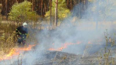 ГБР установило, что информация о тушении пожаров на Луганщине была искажена