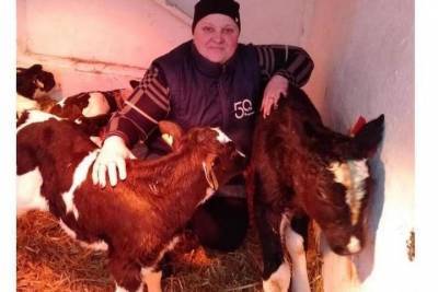 На рязанской ферме родился теленок весом 70 килограммов