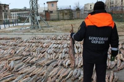 Рыба на 330 млн похищена в Дагестане