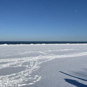 В Европе из-за морозов впервые за много лет замерзло Балтийское море. Видео