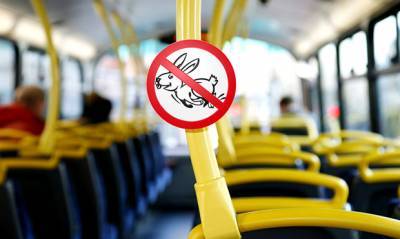 Госдума приняла законопроект о запрете высаживать детей-безбилетников из общественного транспорта