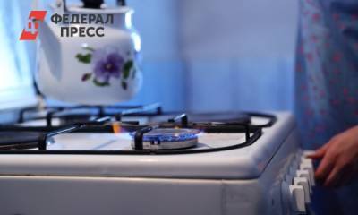 В Челябинской области предложили выдавать субсидии на газификацию