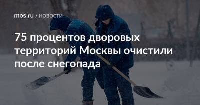 75 процентов дворовых территорий Москвы очистили после снегопада