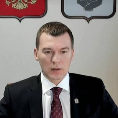 Дегтярев доложил Путину о результатах работы правительства региона за полгода