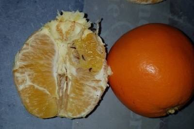 Псковичка купила в гипермаркете апельсины с червяками