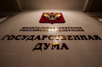 Госдума приняла закон о штрафах за нарушения деятельности физлиц и НКО-иноагентов