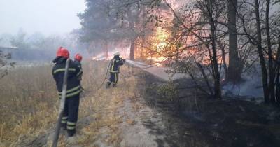 Подавали ложные отчеты о тушении пожаров: прокуратура сообщила подозрение спасателям Луганской области