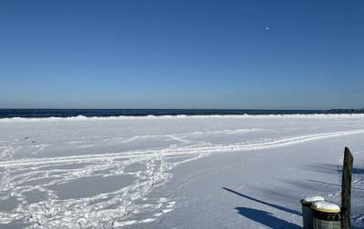 Впервые за много лет: побережье Балтийского моря замерзло – видео
