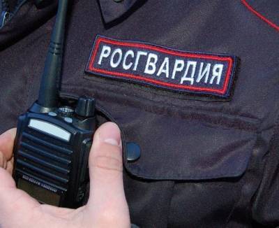 Ульяновские росгвардейцы по горячим следам задержали пивных похитителей