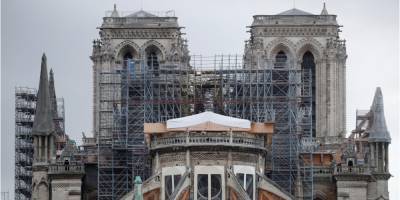 Реставрация Нотр-Дама: на восстановление шпиля легендарного собора уйдет до тысячи дубов вековой давности