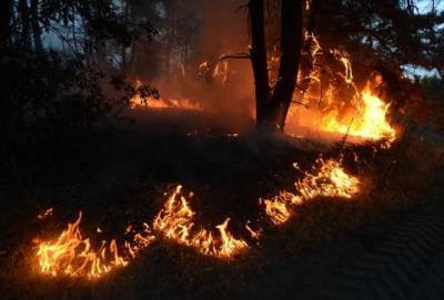 Масштабные пожары на Луганщине: ГБР объявило подозрение одному из руководителей местного управления ГСЧС