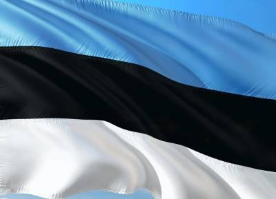 Эстония может уменьшить военные расходы вопреки близости «агрессивной Москвы»