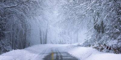 Прогноз погоды: в Украине усилятся морозы, в ряд областей вернутся снегопады
