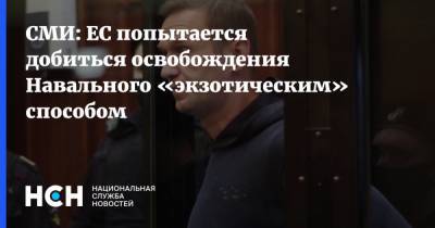 СМИ: ЕС попытается добиться освобождения Навального «экзотическим» способом