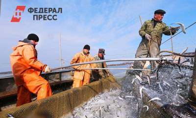 Мурманская область пролоббировала изменения в закон о прибрежном лове